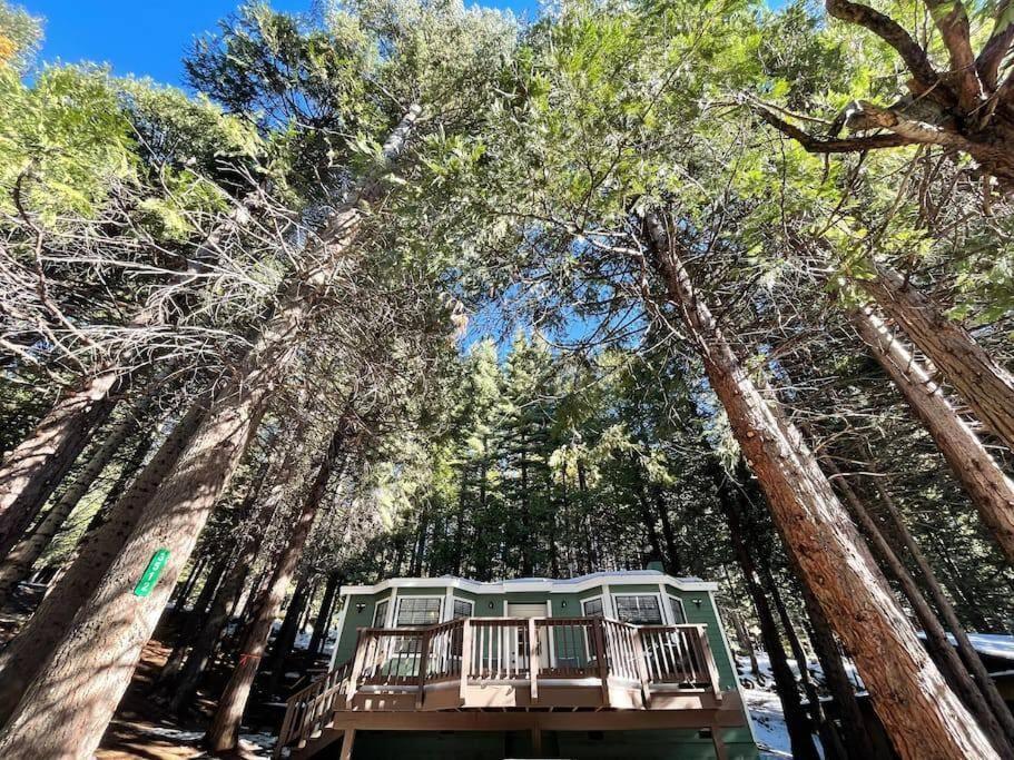 Cedar Oasis - Home Base To Big Trees 阿诺德 外观 照片